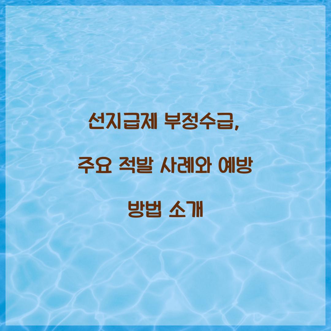 선지급제 부정수급