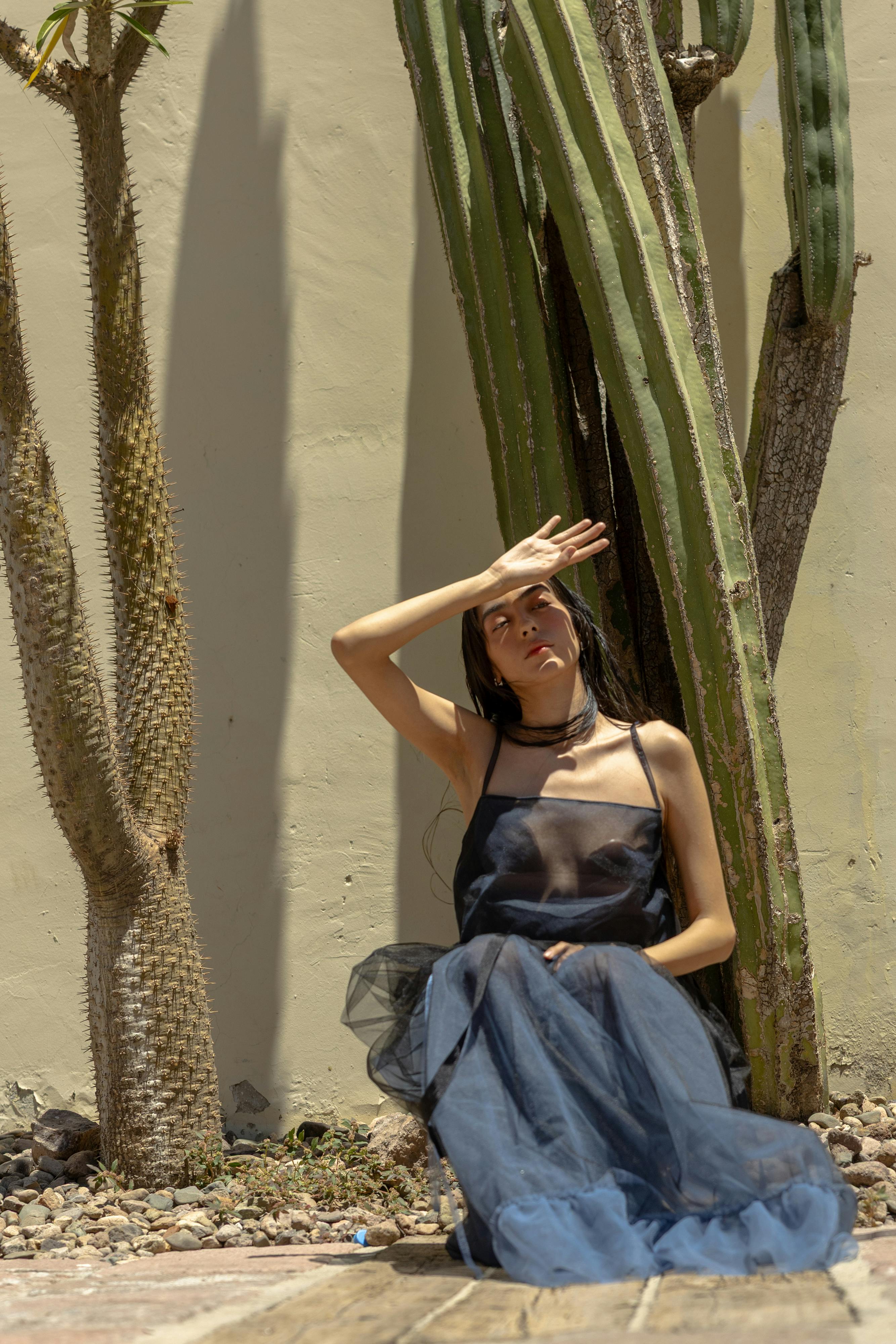 폭염 관련 사진