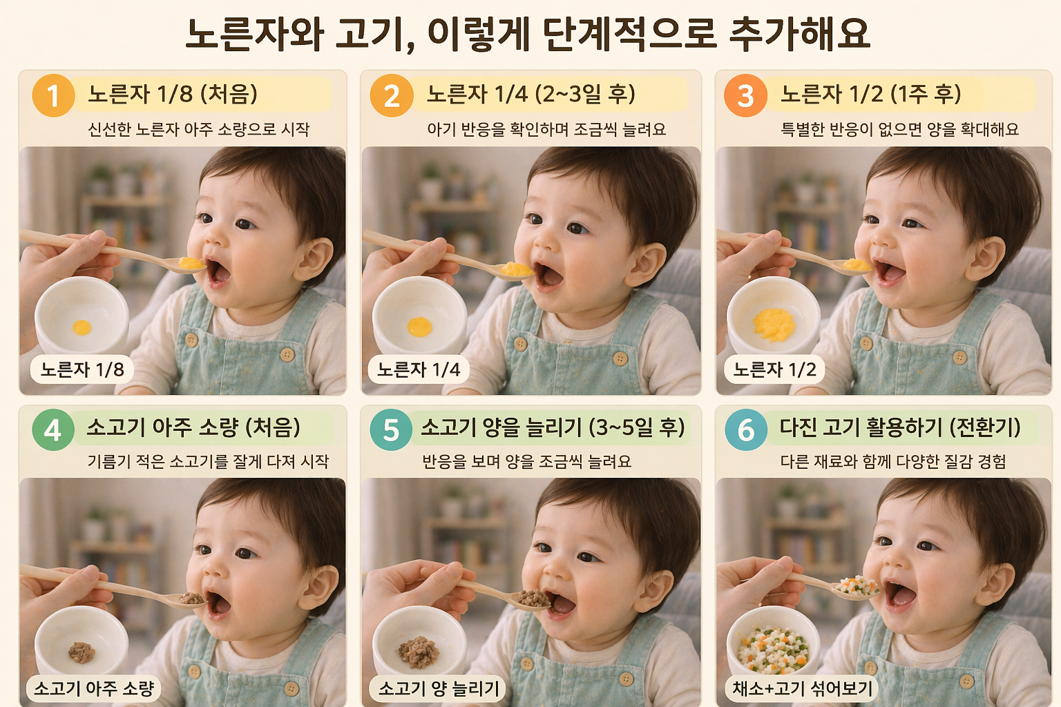 영아전환기 이유식 재료 노른자와 고기를 단계적으로 추가하는 모습