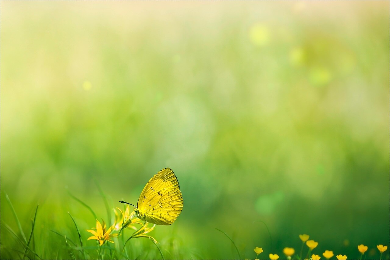 이삭토스트 창업비용