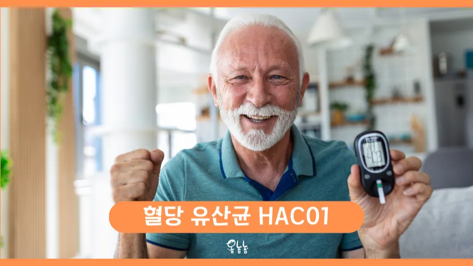 혈당 유산균 HAC01