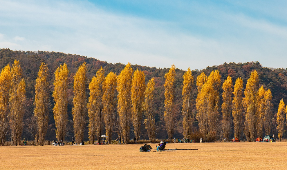 한국의 숨은 명소 잘 알려지지 않은 국내 여행지