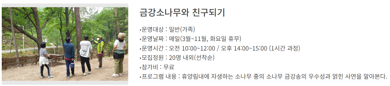 통고산 자연휴양림