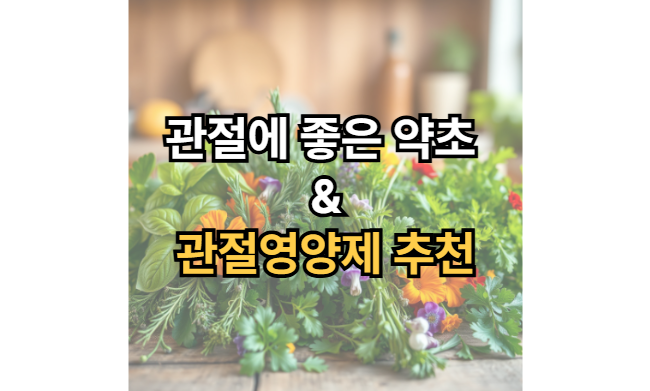 관절에-좋은-약초-관절-영양제-추천