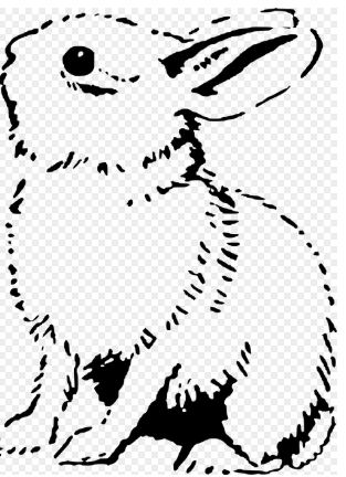 토끼띠 2025년 운세