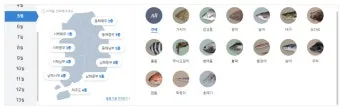 5월 동해 바다낚시 최고 추천 어종과 인기 포인트 완벽 총정리_12