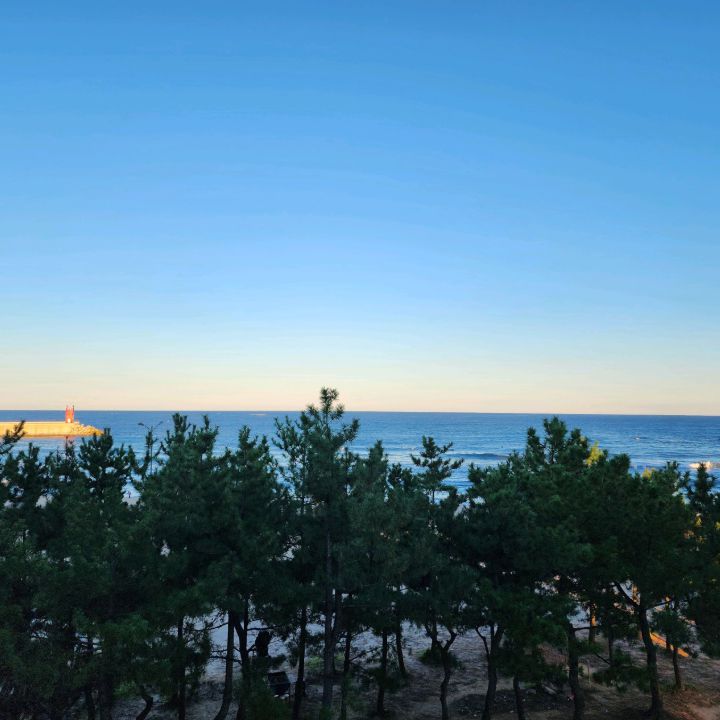 동호해변