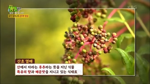 시골순두부