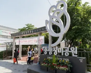 중랑 서울 장미축제_6