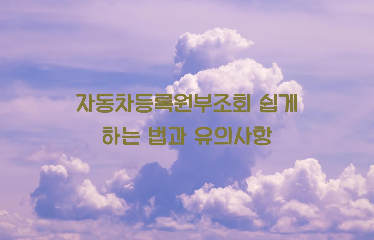 자동차등록원부조회