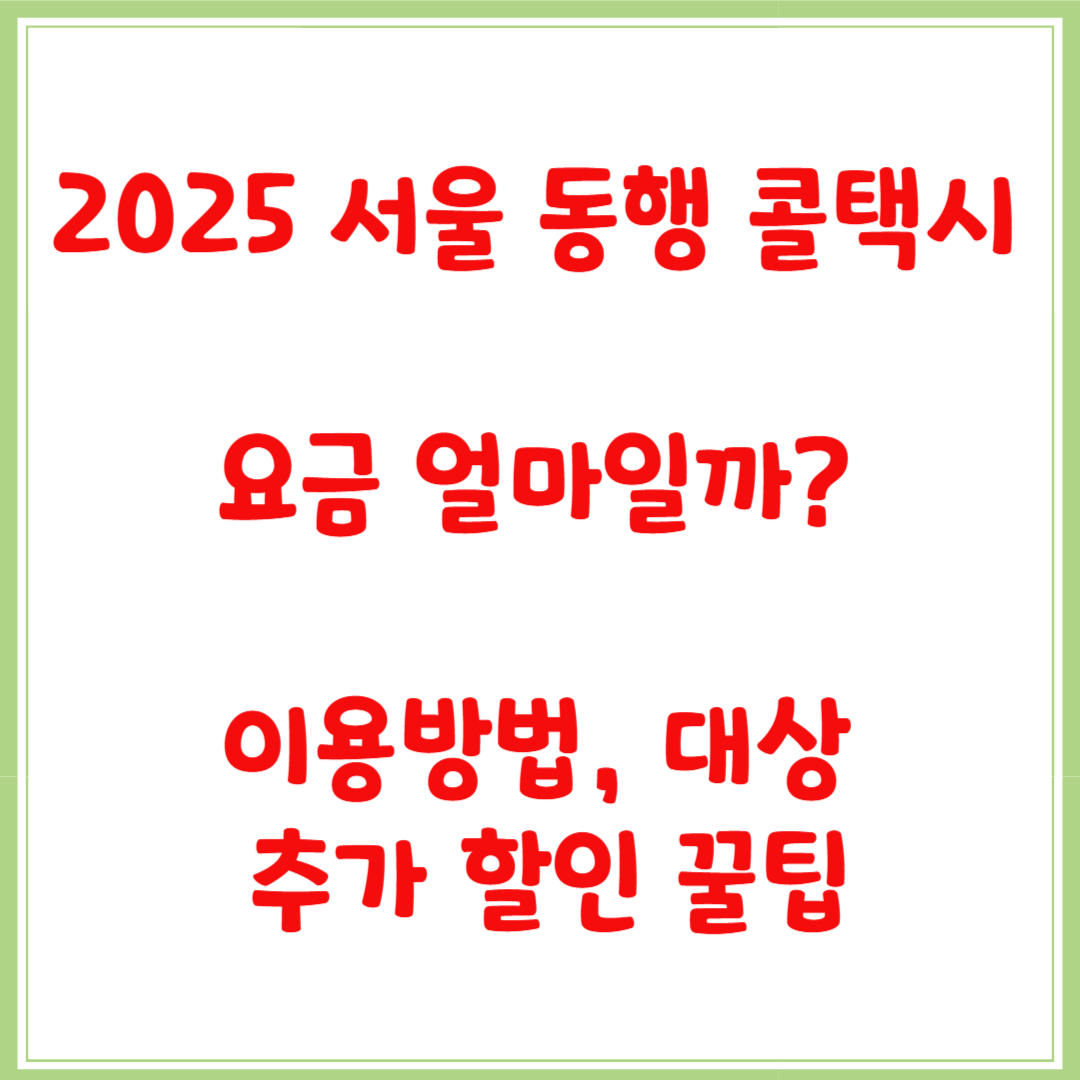 2025 서울 동행 콜택시 요금 얼마일까? 이용방법, 대상, 추가 할인 꿀팁