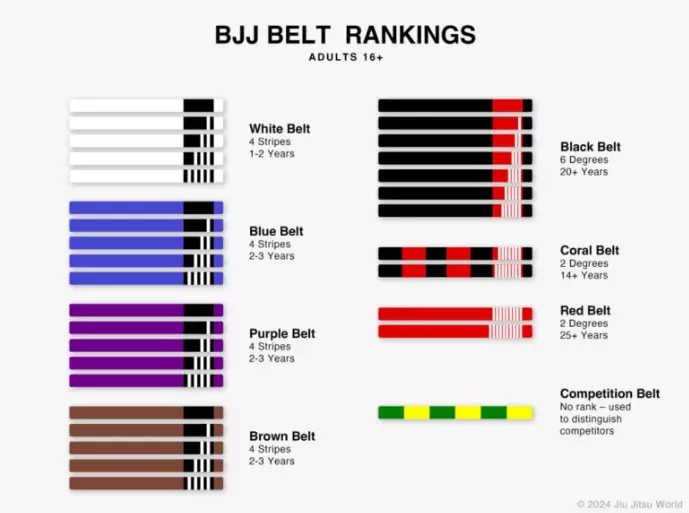 주짓수 벨트순서
