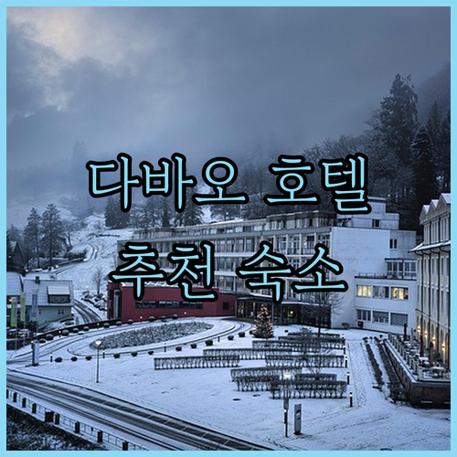 다바오 호텔 어디가 좋을까?🤔 현지인..