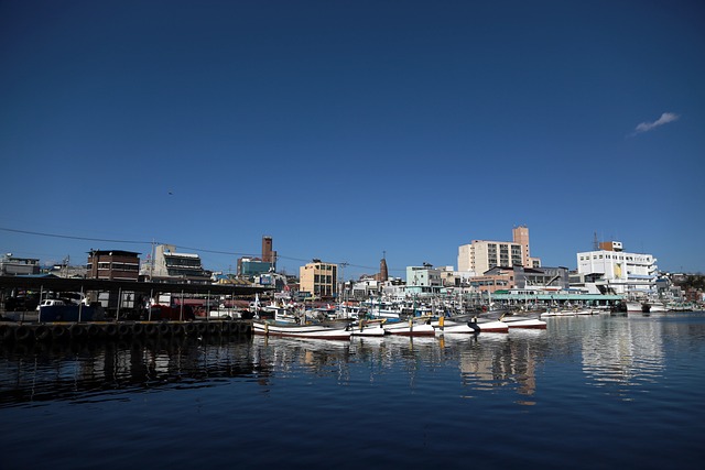 봄날의 힐링! 고성 여행 코스 추천 글을 위한 강원도 사진