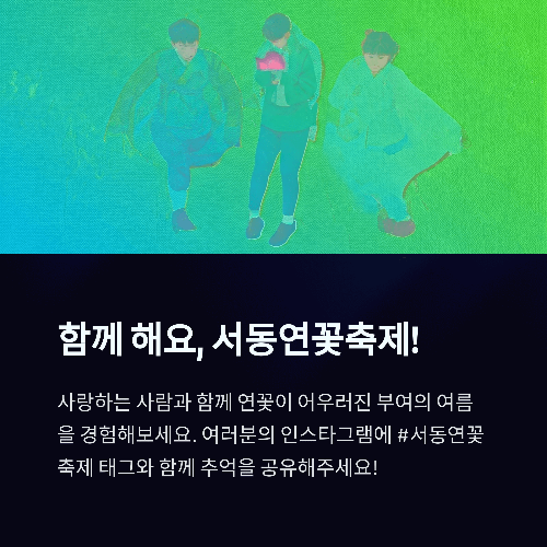 함께 해요, 서동연꽃축제!