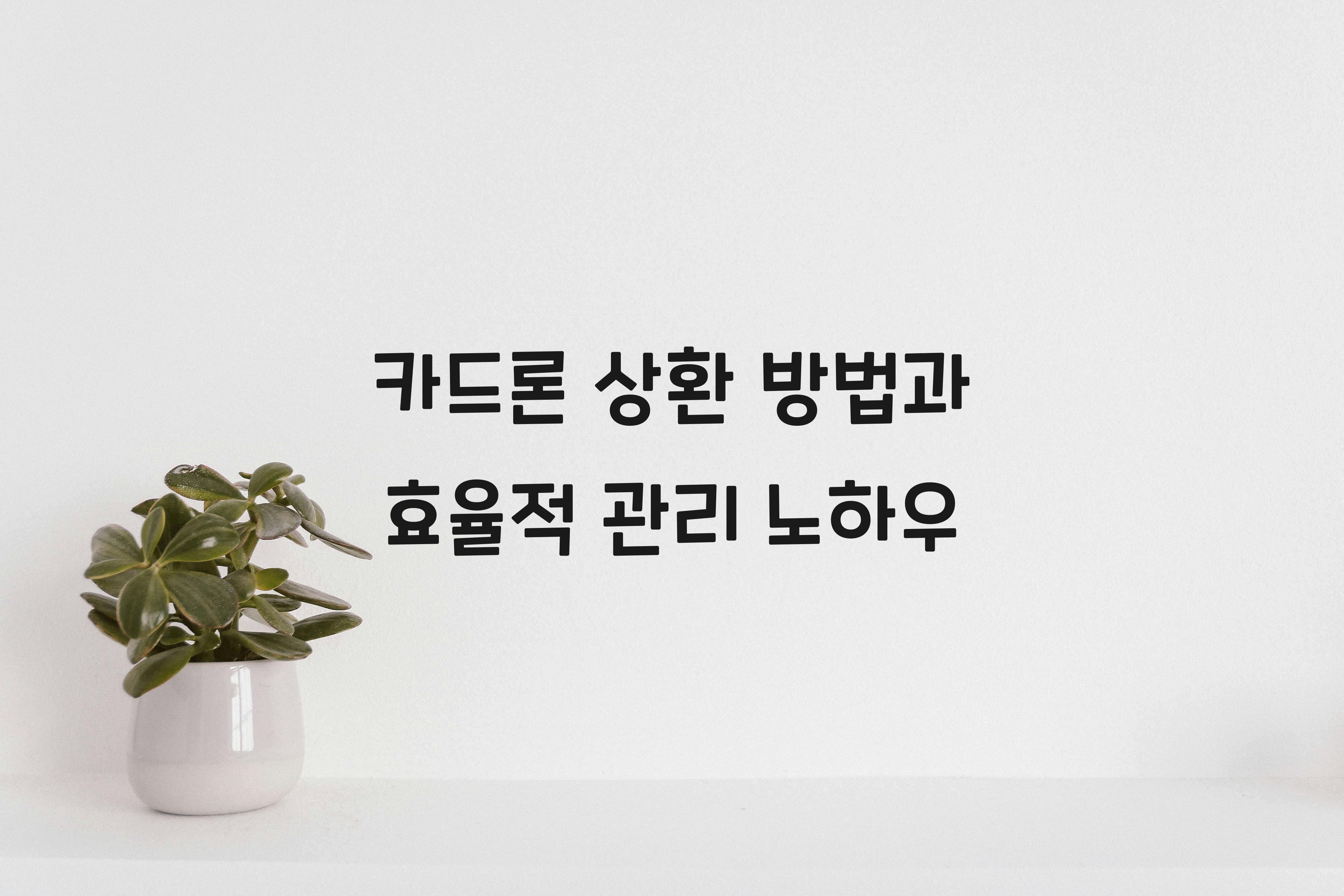 카드론 상환 방법