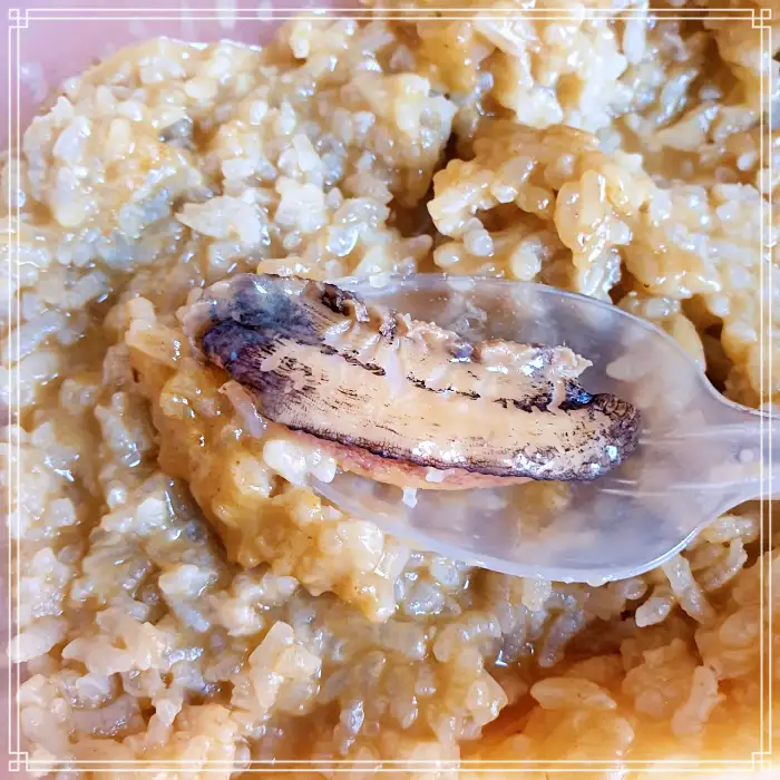 놀토 놀라운 토요일 포항 효자시장 전복죽 맛집