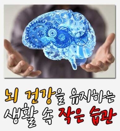 뇌건강