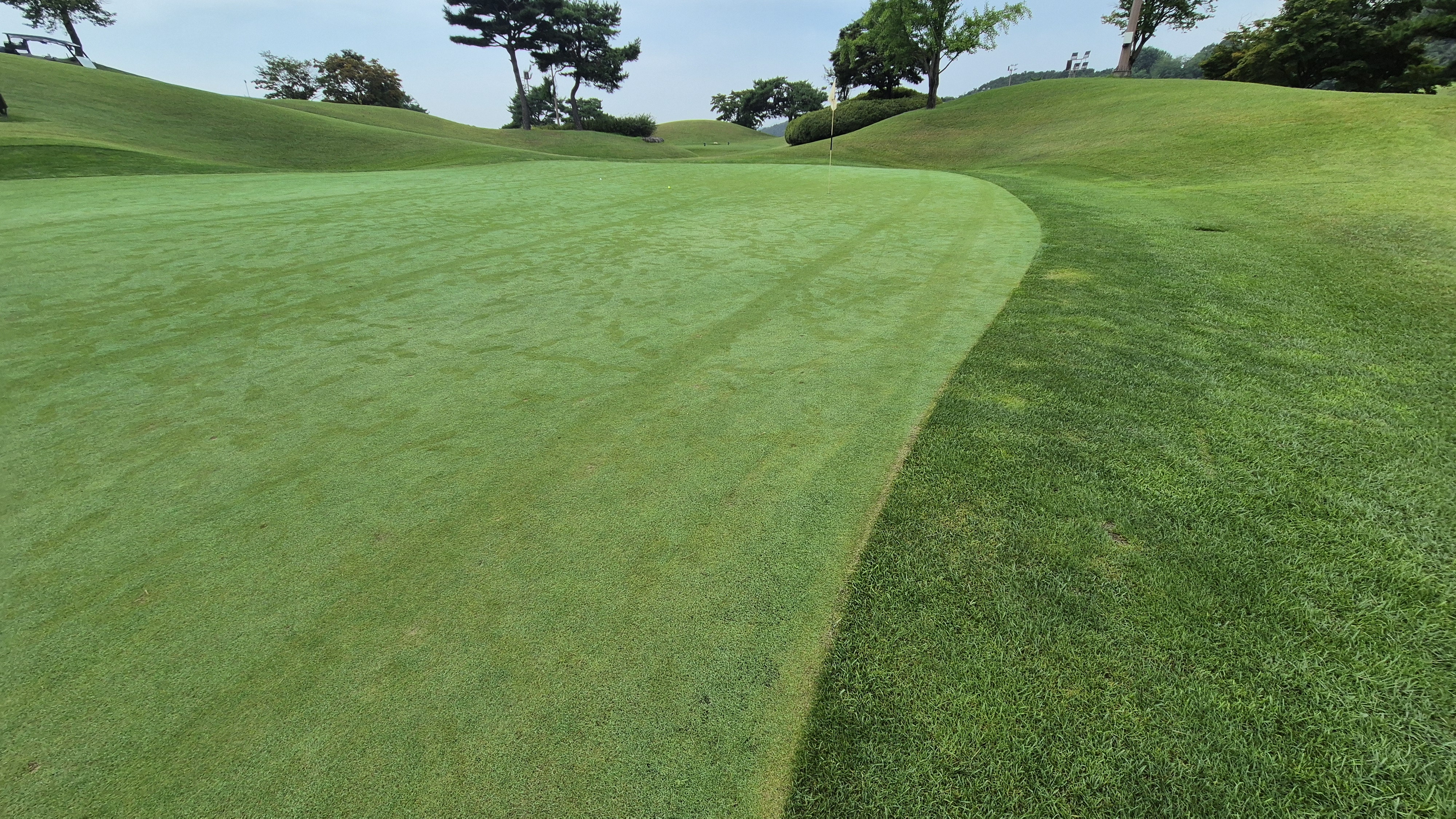 한림용인cc 다이아몬드-사파이어 코스 라운드 후기