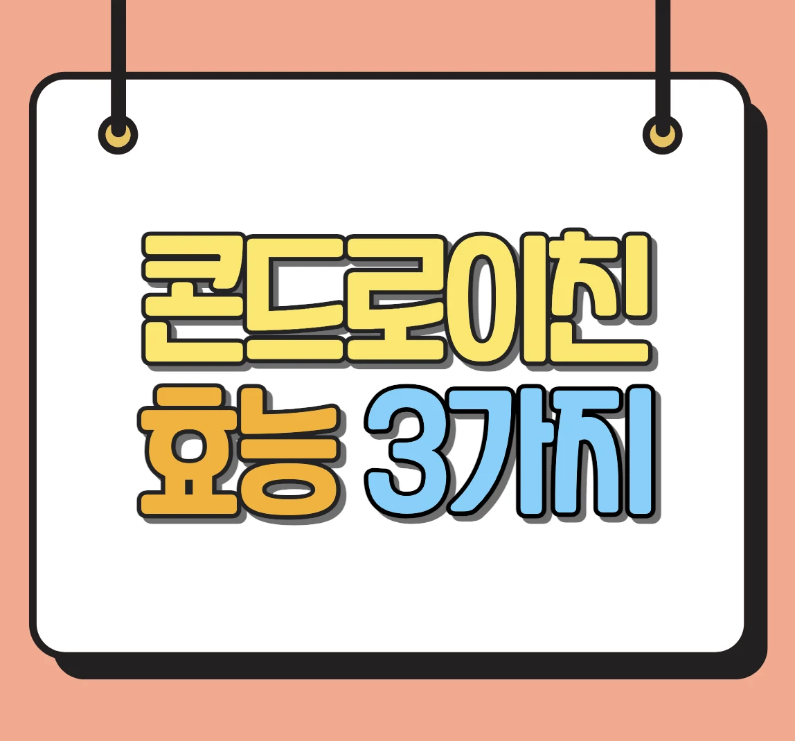 콘드로이친 효능