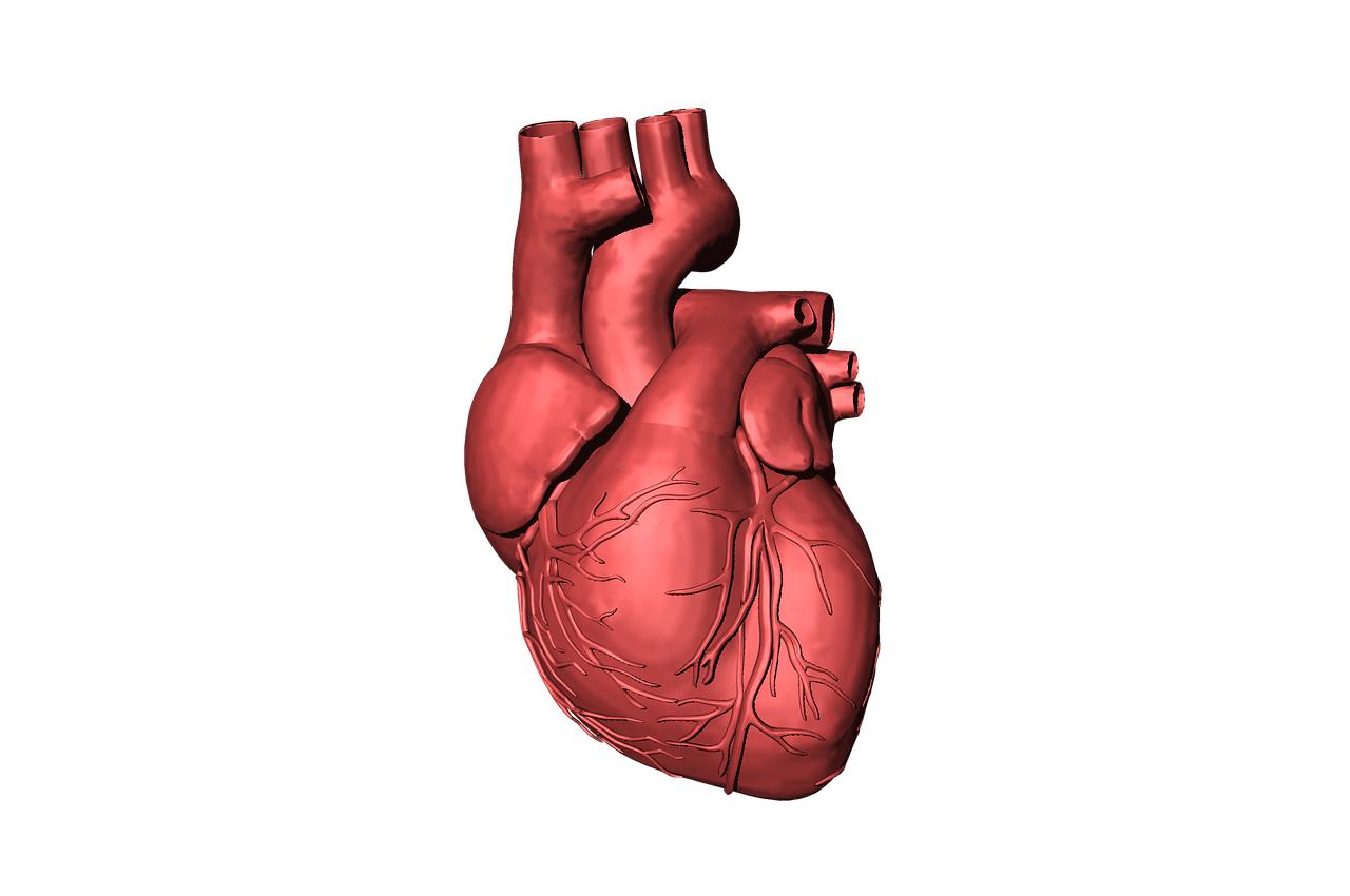심방세동의 종류