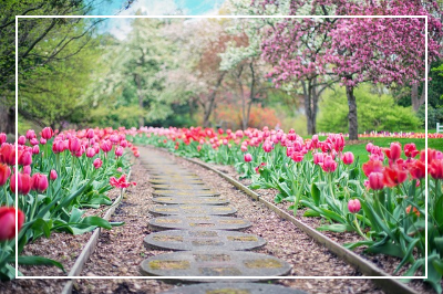 3월 첫째 주일 대표 기도문