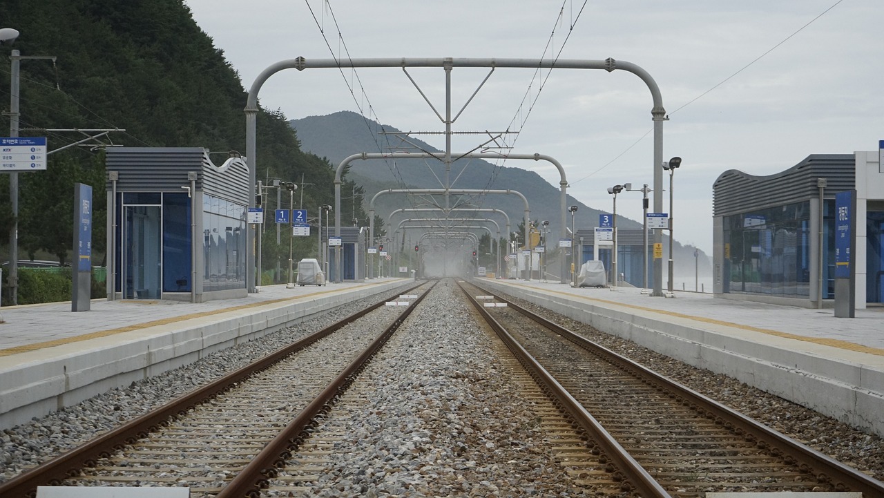 기후동행카드 신청방법 사용구간 구매방법 충전 따릉이 이용법 완벽정리