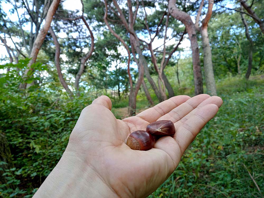 걷기 기부챌린지는 울산 산업고등학교