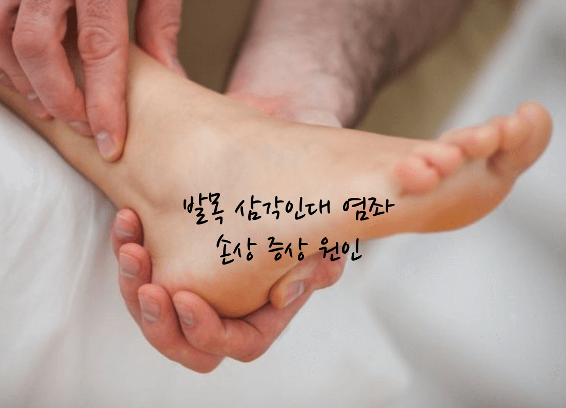 발목 삼각인대