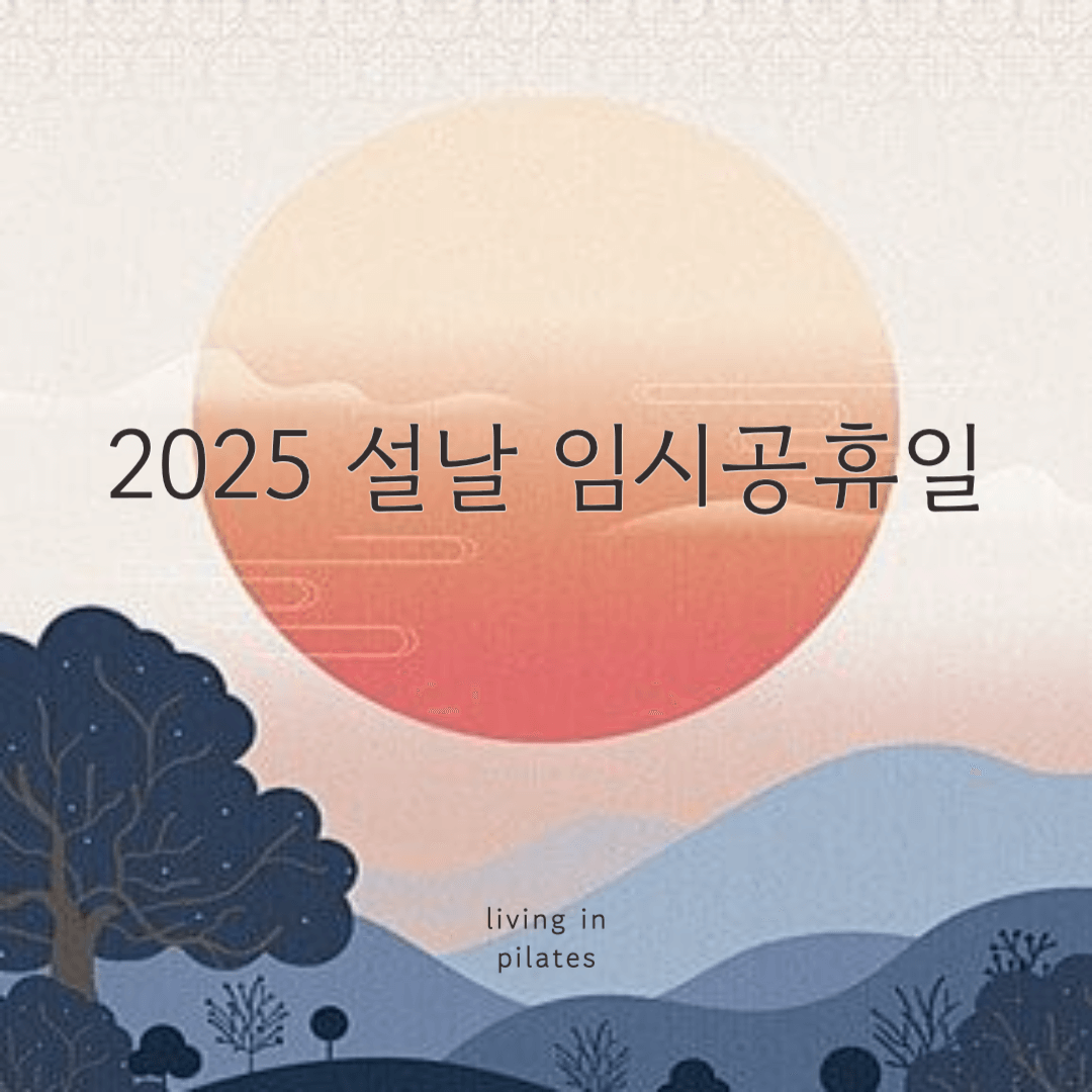 2025 설날 임시공휴일