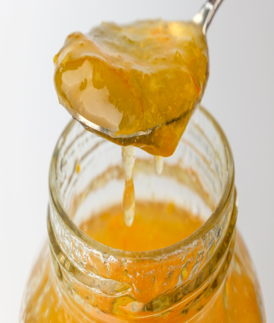 김재영고흥유자