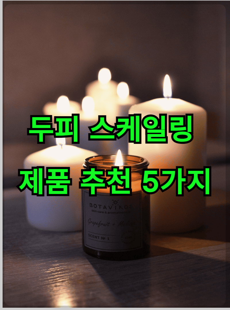 두피 스케일링 제품 추천5가지