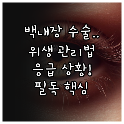 백내장 수술 후 상황별 위생 관리와 ..