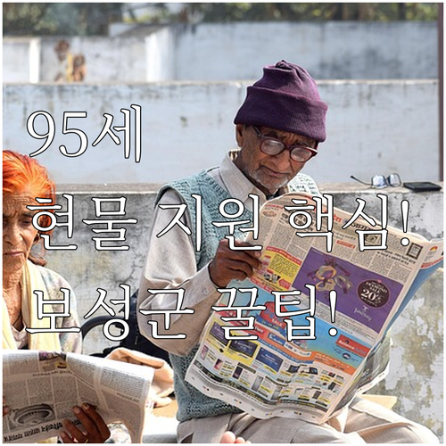 2025 보성군 장수 어르신 95세 ..