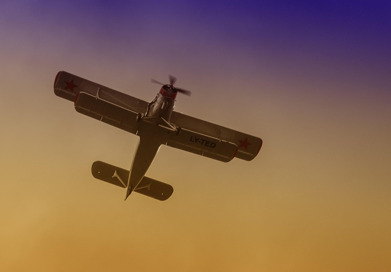 비행기 관련된 사진