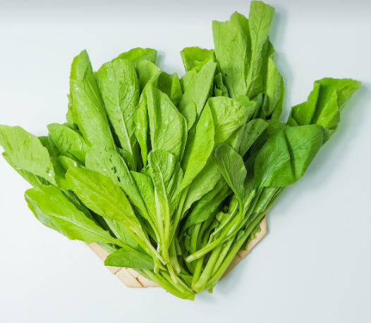 시금치의 모습