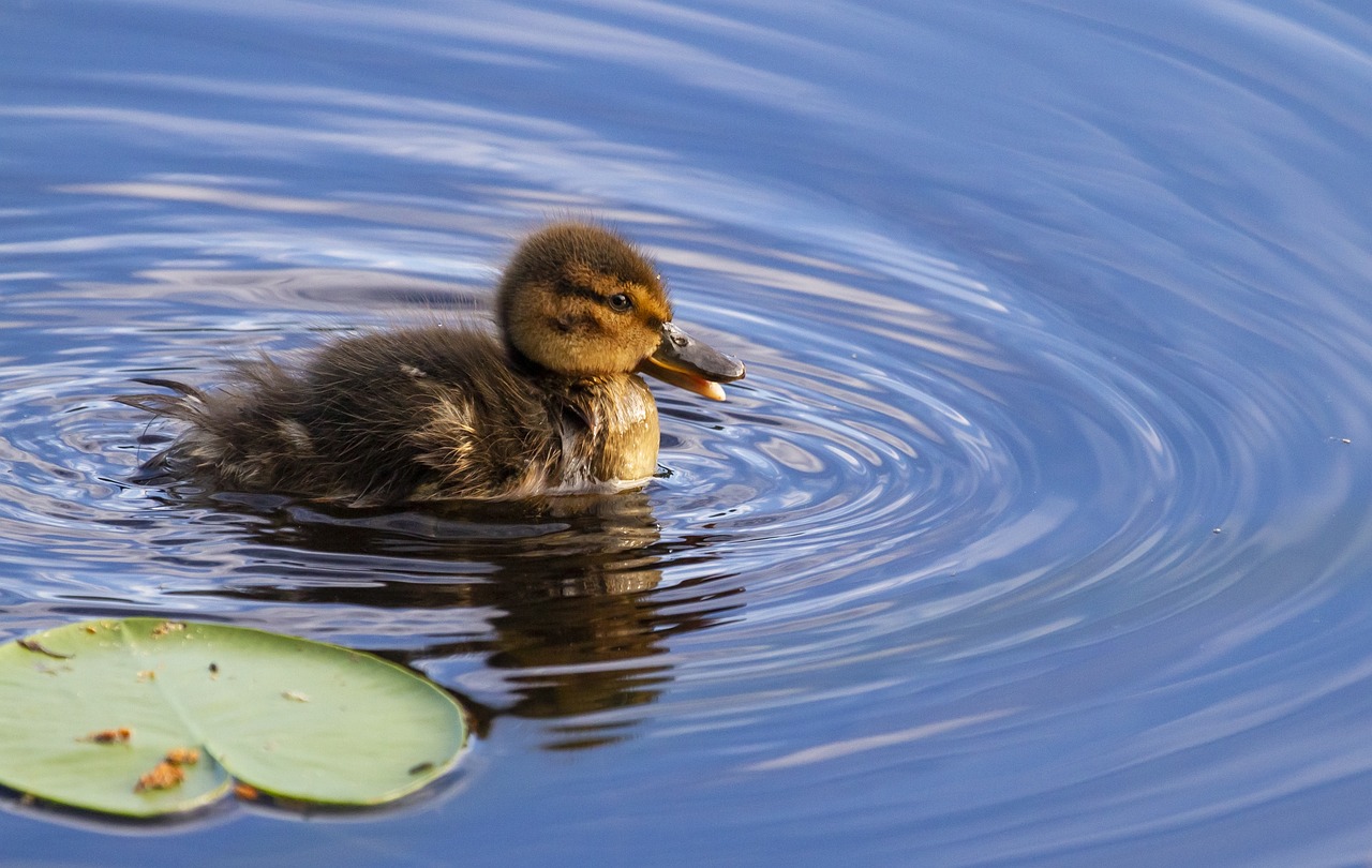 중도상환수수료 계산법