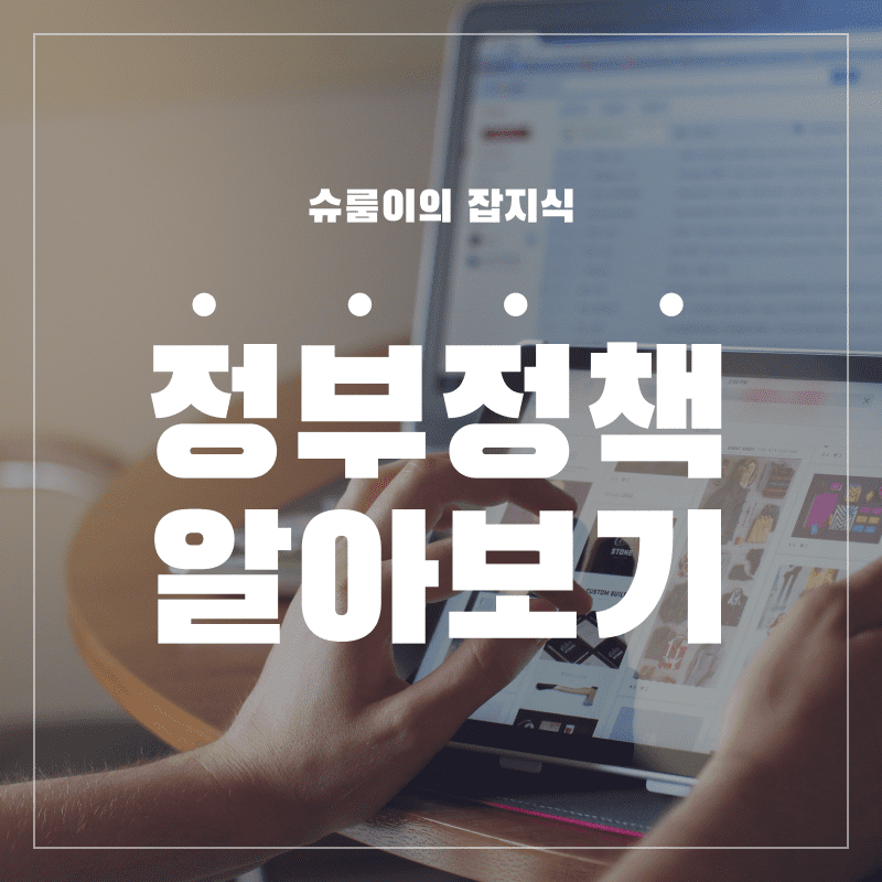 정부정책-알아보기