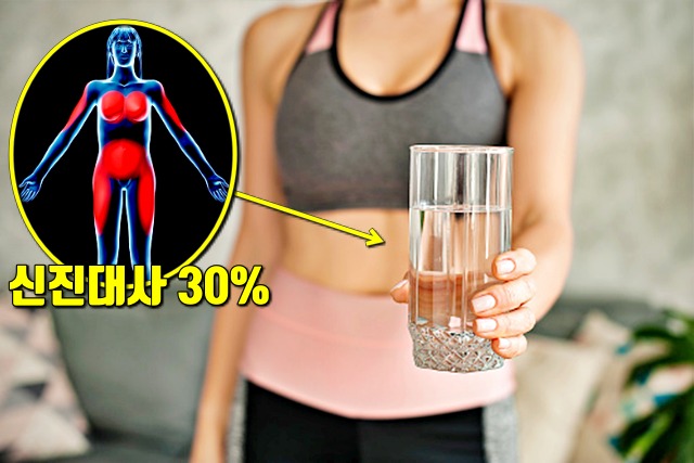 아침 물한잔 효능 효과,신진대사 높이는 법,다이어트,건강,팁줌