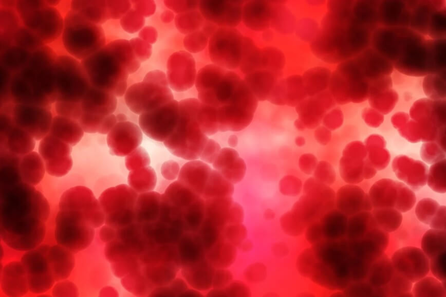 피의 구성 형태