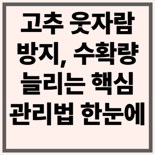 고추 웃자람 방지, 수확량 늘리는 핵심 관리법 한눈에