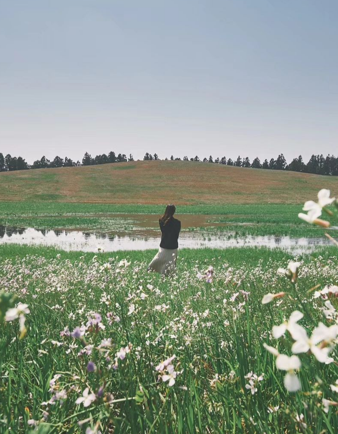 제주도 렌트카로 여행한 날