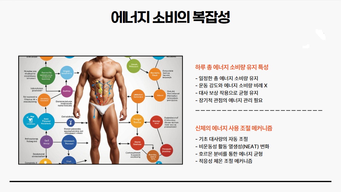 에너지 소비의 복잡성