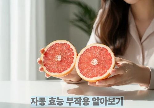 자몽 효능 부작용 알아보기