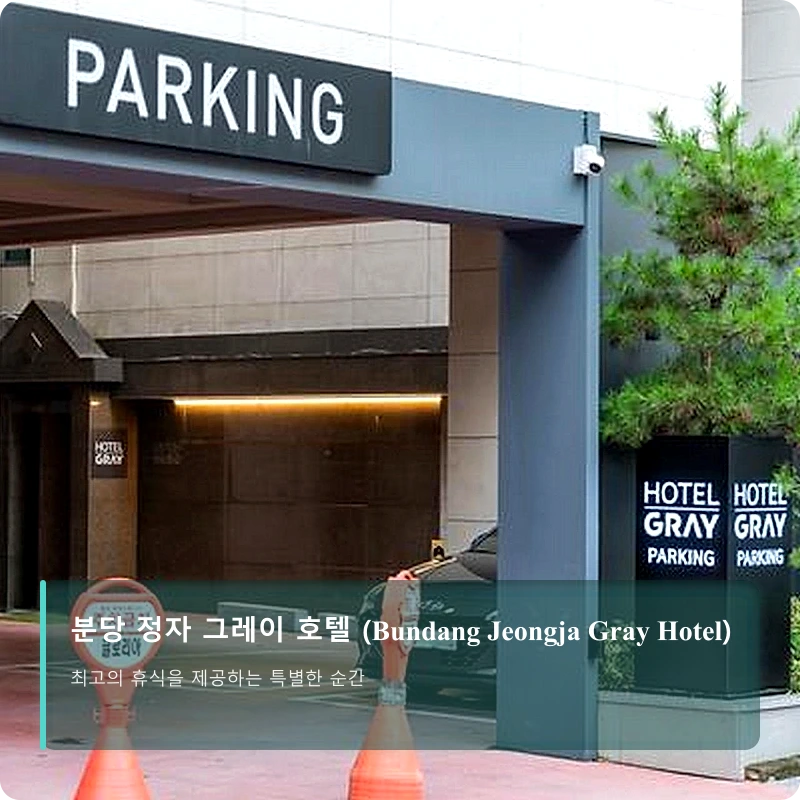 분당 정자 그레이 호텔 (Bundang Jeongja Gray Hotel)_3