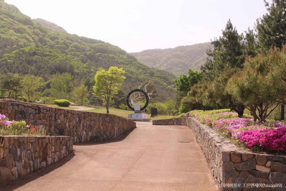 금산 가볼만한곳 베스트10