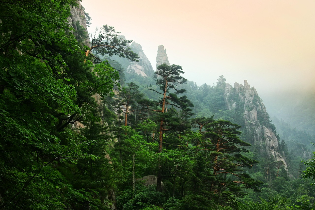 설악산 케이블카 예약