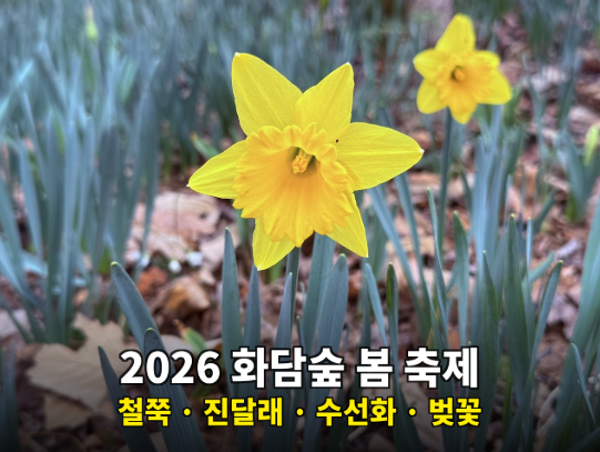 2026 화담숲 봄 축제