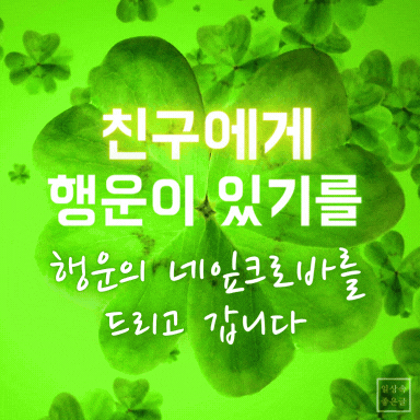 행운의 네잎클로버 이미지 - 친구에게 전하는 여름 인사말 카드