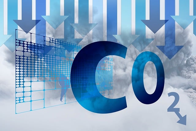 탄소중립 실천 포인트